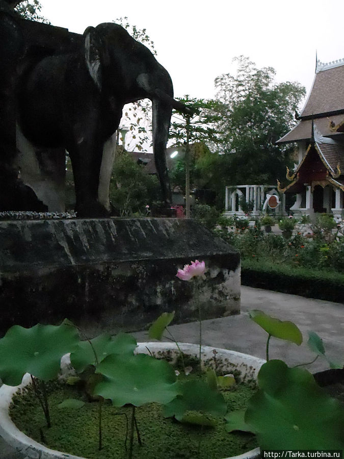 Чиангмай Чиангмай, Таиланд