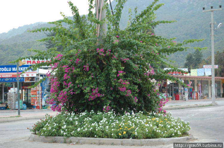 Бельдиби, Турция