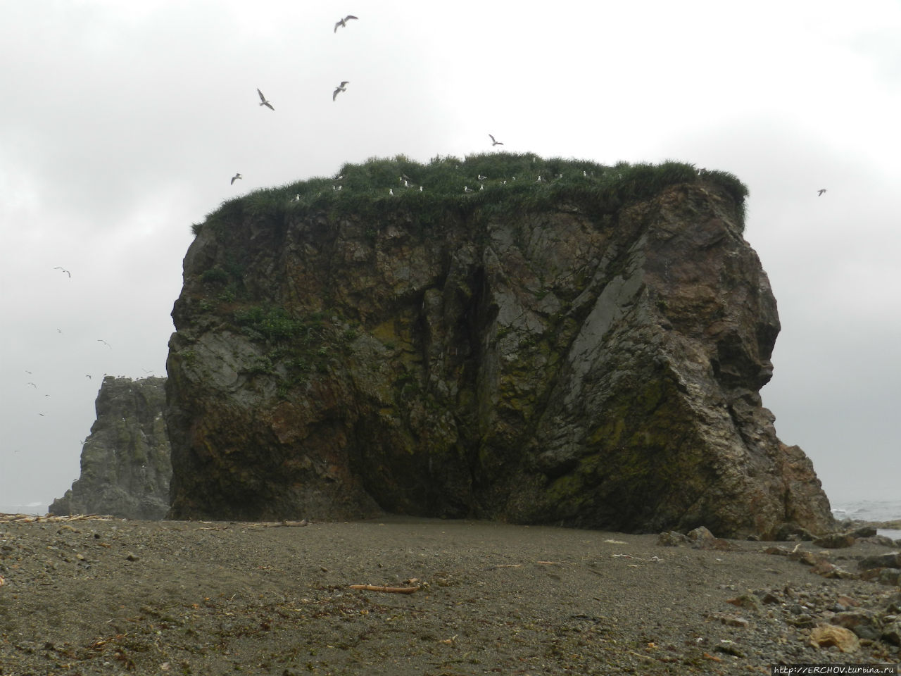 Остров гигантов. Мыс великан Сахалин. Остров великанов. Остров великанов Казань. Мыс Свободный Сахалин фото.