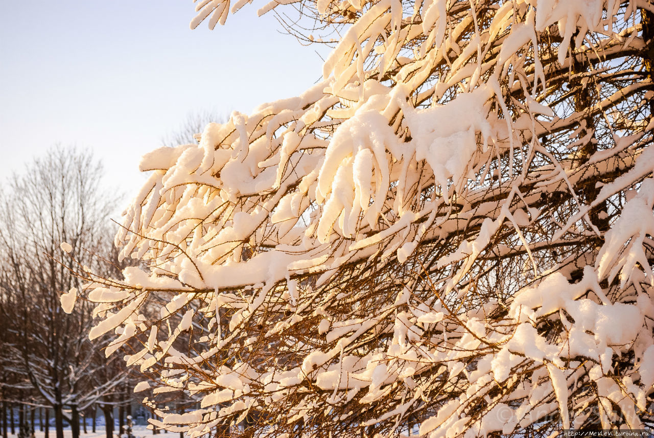 Лыжная трасса в Парке Победы Рига, Латвия
