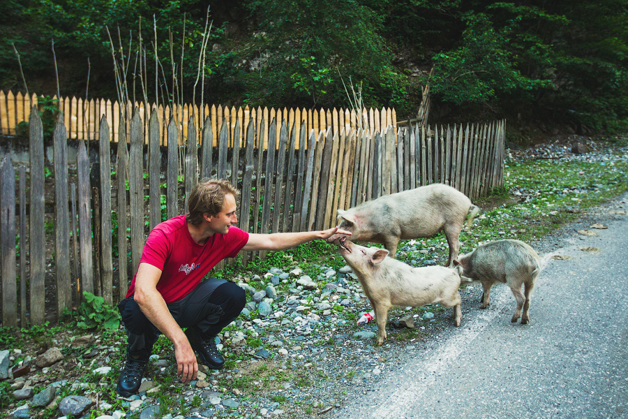 Начинаем знакомство с местным животным миром:)