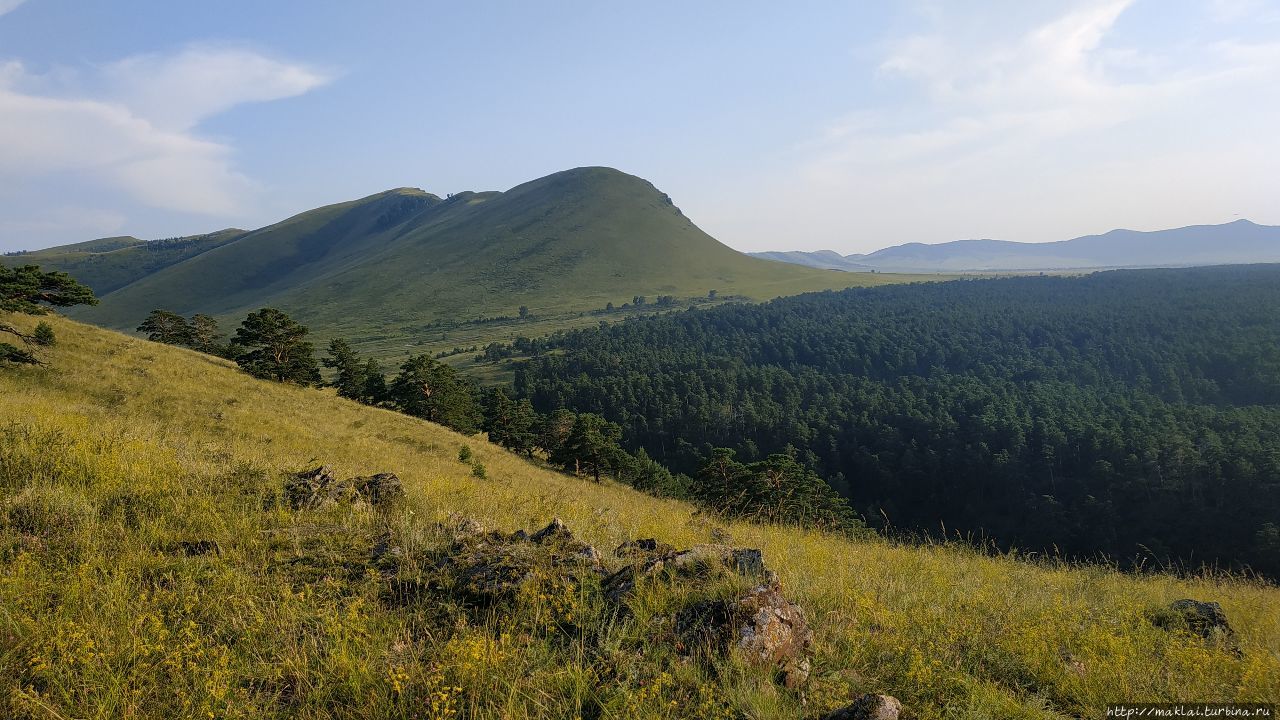 Почти на море.Потрошиловский бор Городок, Россия