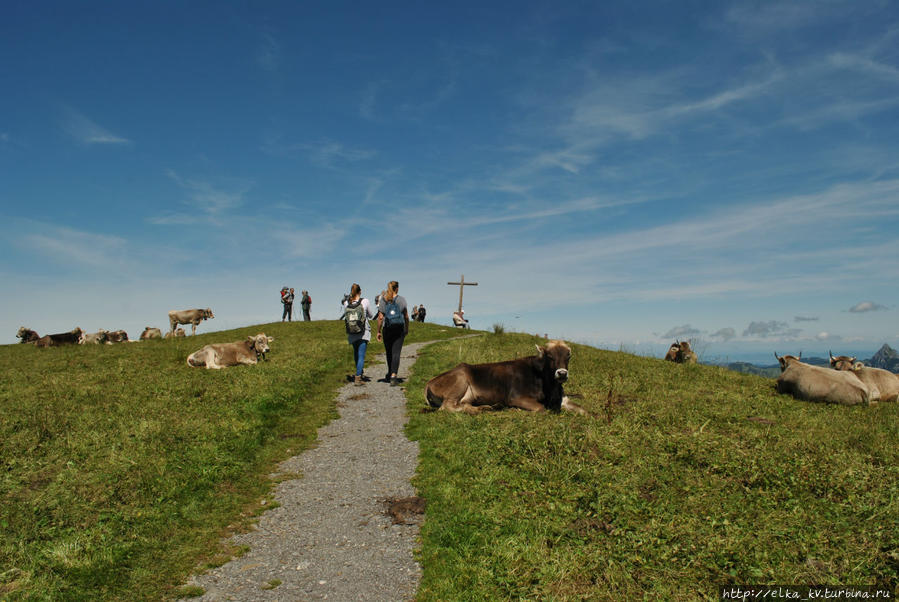 Мирное сосуществование на вершине Фрональпшток Бруннен, Швейцария