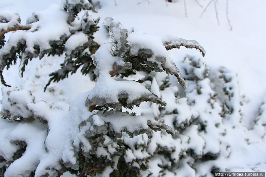 Как на тоненький ледок выпал беленький снежок Харьков, Украина