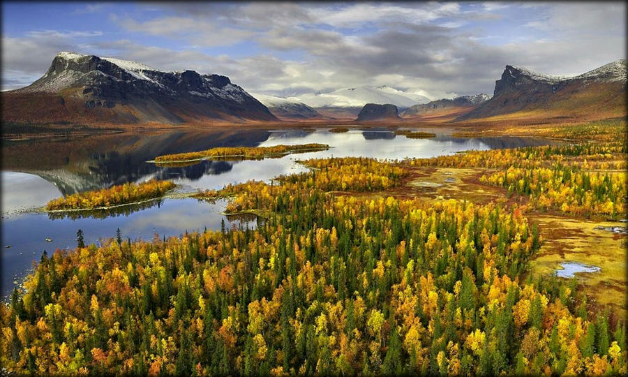 Что? Где? Когда? Природа