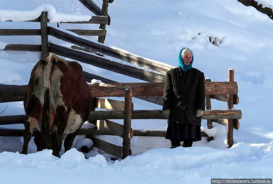 Буковинские Карпаты. Прогулка по горам Черновицкая область, Украина