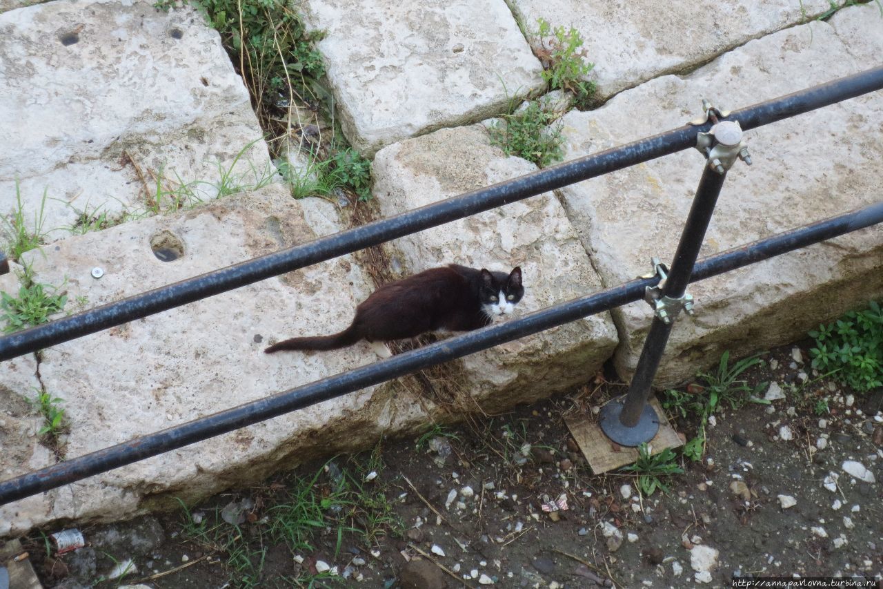 Третий день в Риме: Пантеон, Капитолий, этруски и Леонардо Рим, Италия