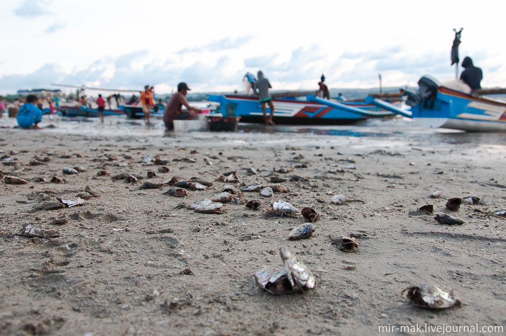 Песок вокруг просто усыпан рыбьими головами. Джимбаран, Индонезия