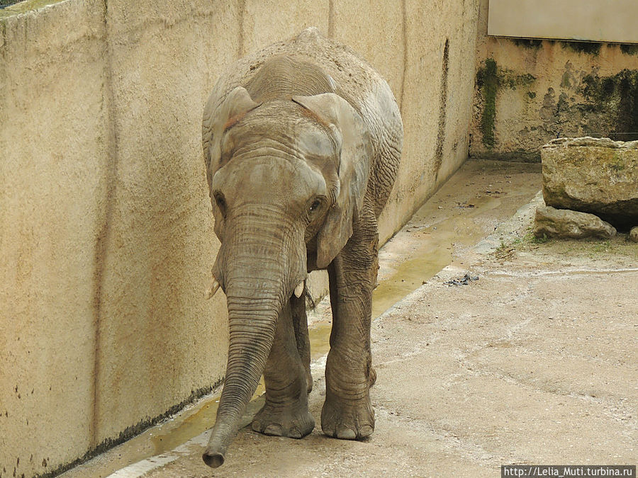 Лиссабонский ZOO-Дом Лиссабон, Португалия