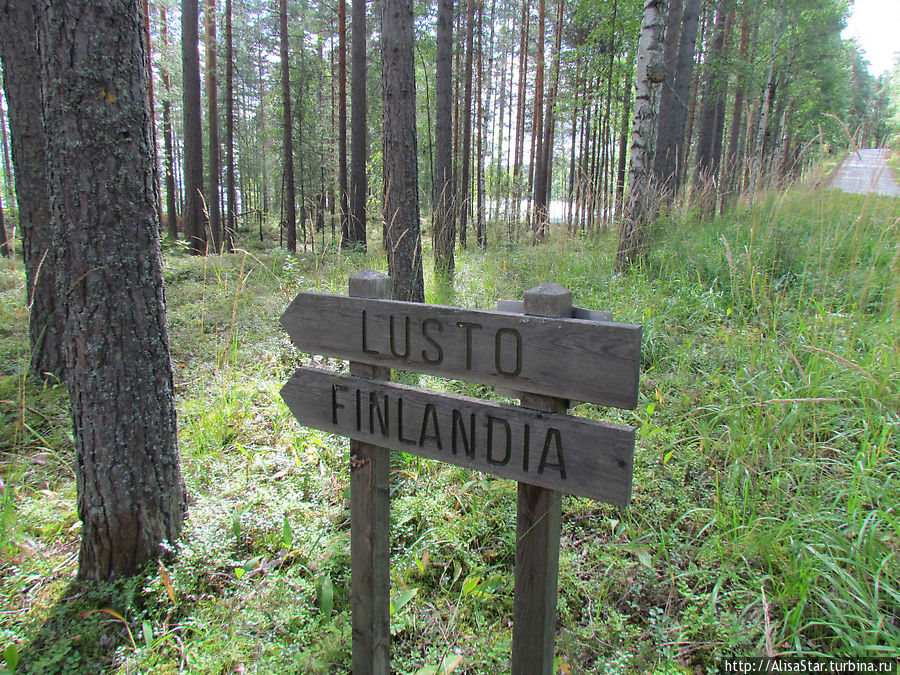 Экологическая тропа в Пункахарью Пункахарью, Финляндия