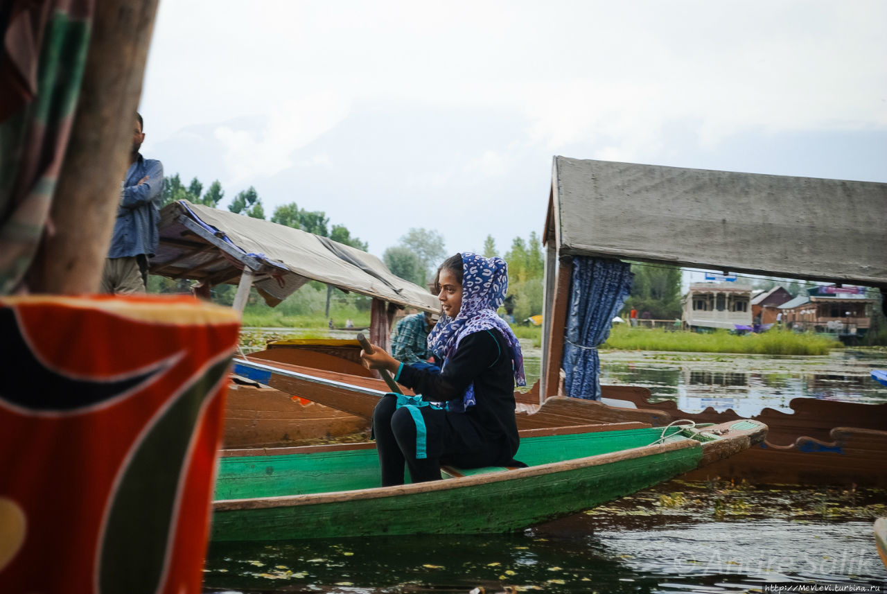 Радуга завета Шринагар, Индия
