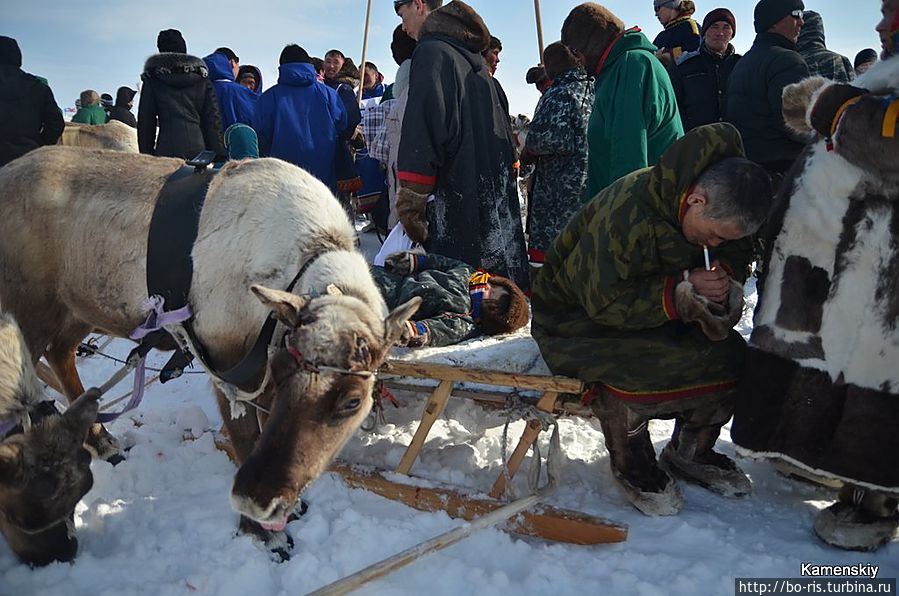 День оленевода Дудинка, Россия