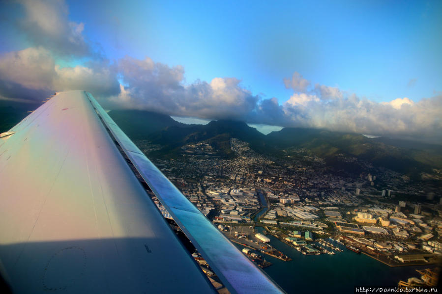 Явитесь перед мной, Летучие Обезьяны!