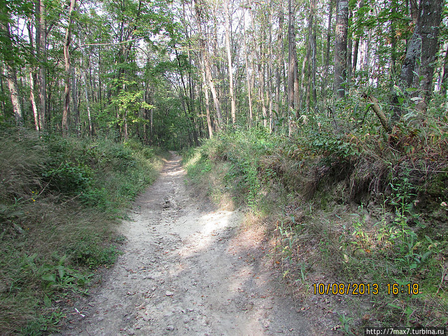 Немного погуляем по лесу Саратов, Россия