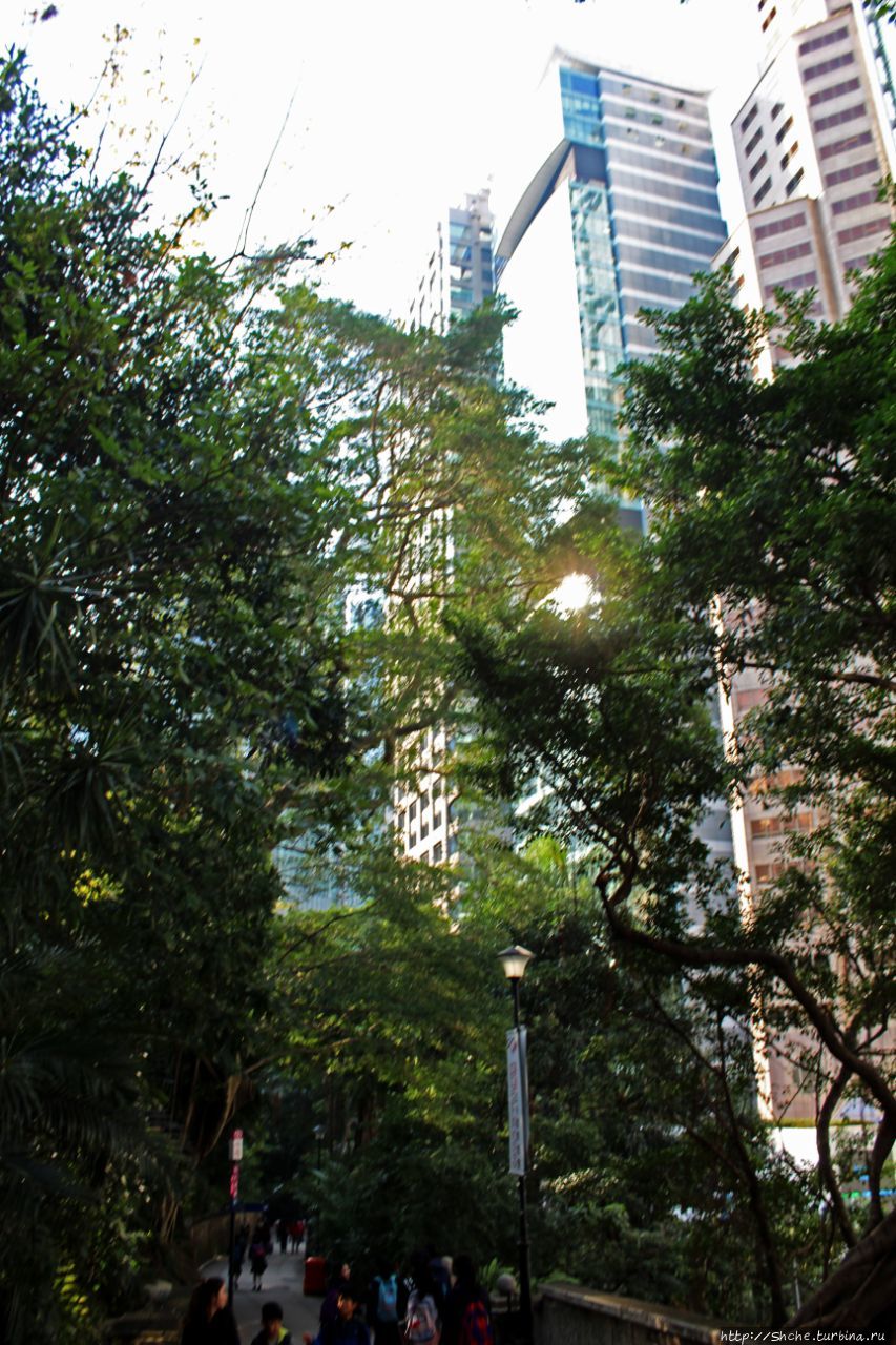 Район Централ Виктория, Гонконг