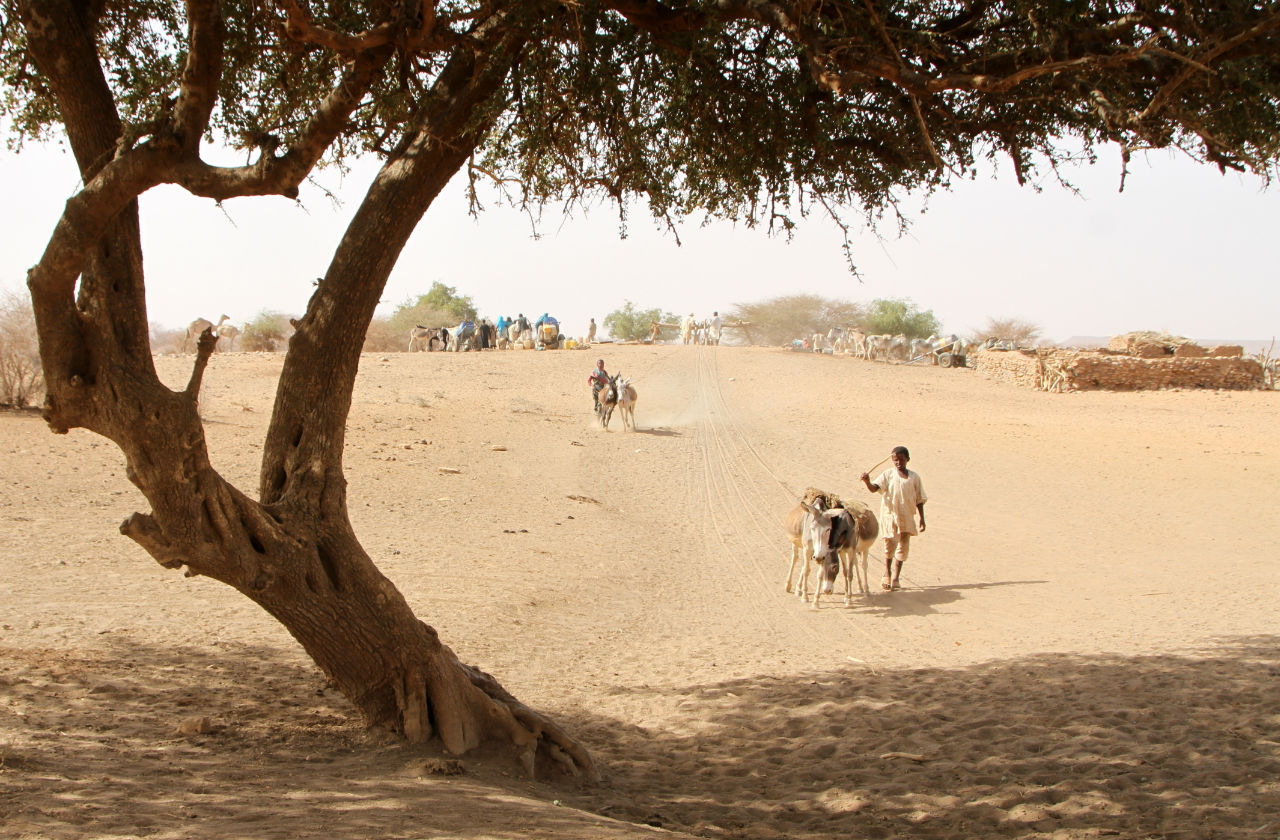 Без чего не могут бедуины Штат Нил, Судан