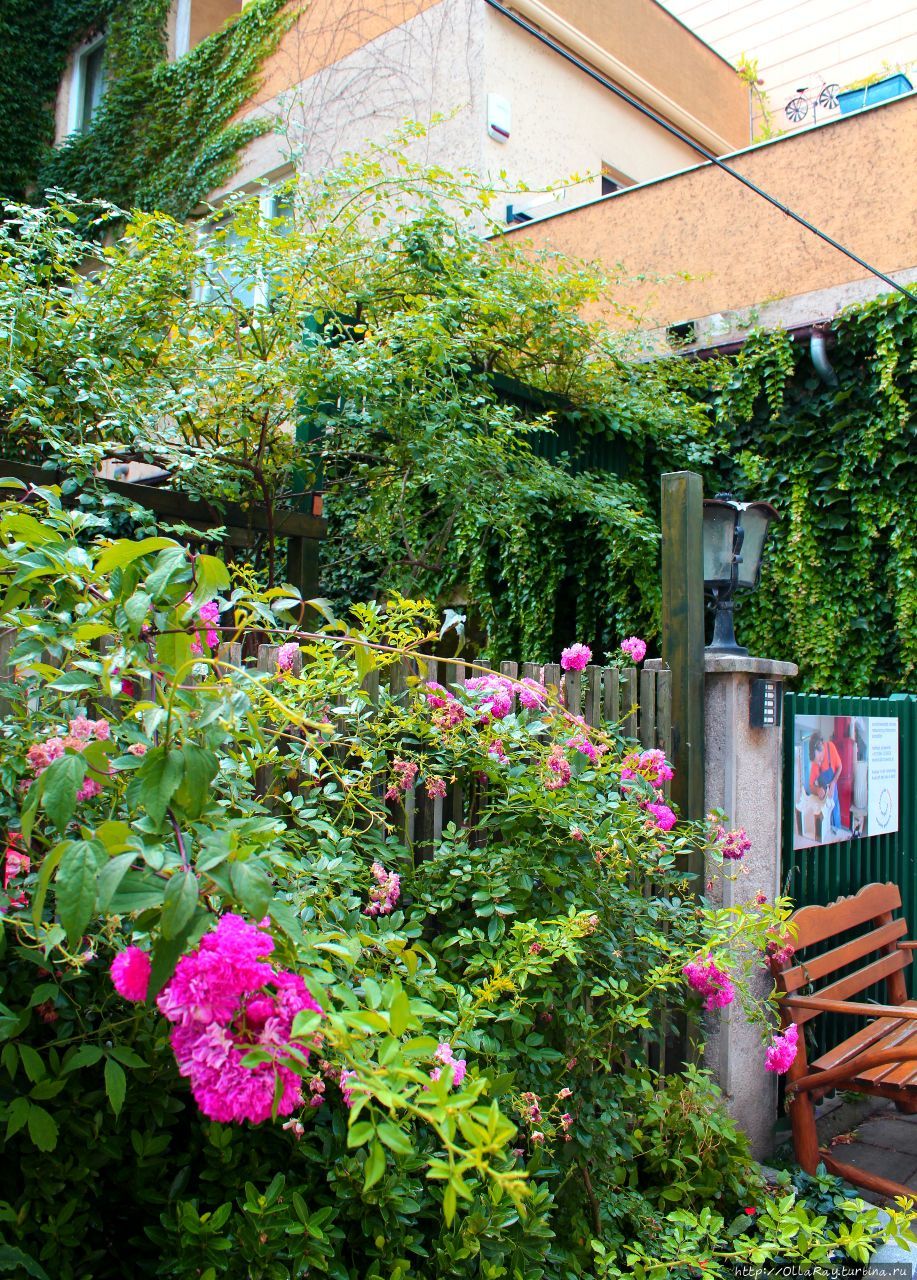 Баден под Веной. Термы, розы, Альпы — цветущий курорт. Баден, Австрия