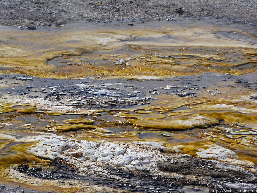 От гейзера к гейзеру. Возвращение на Geyser Hill Йеллоустоун Национальный Парк, CША