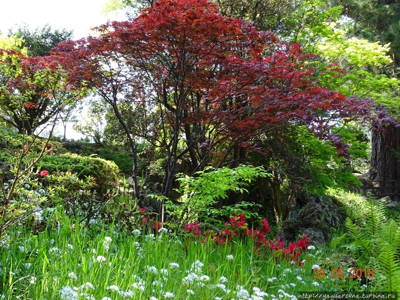 Поместье Пауэрскорт Эннискерри, Ирландия Поместье Пауэрскорт Эннискерри, Ирландия