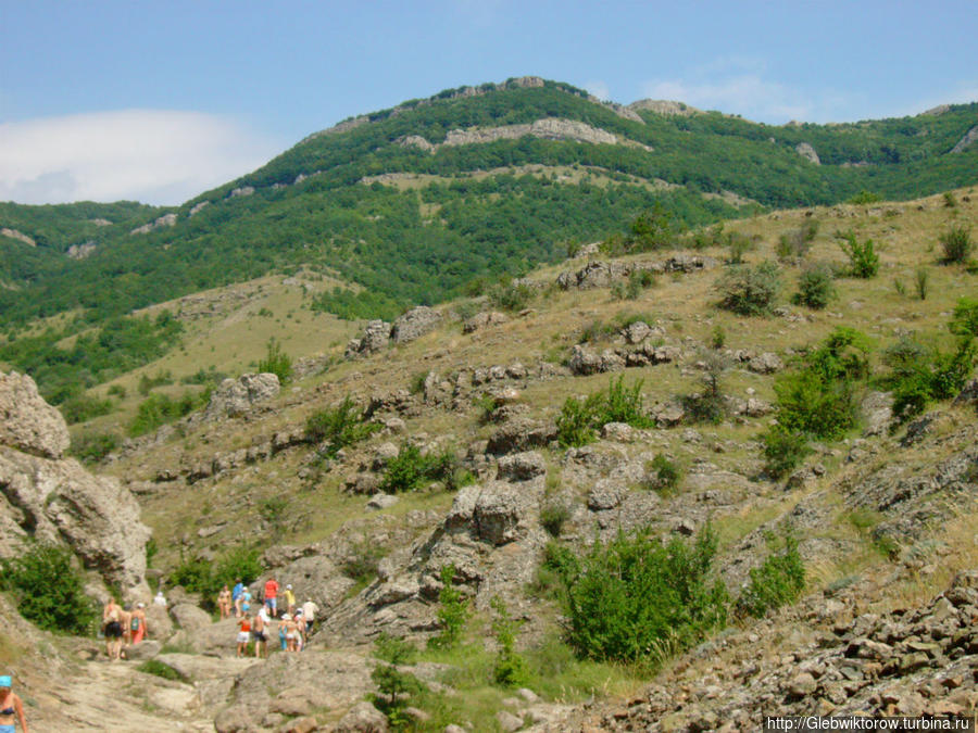 Среди Арпатских водопадов Зеленогорье, Россия