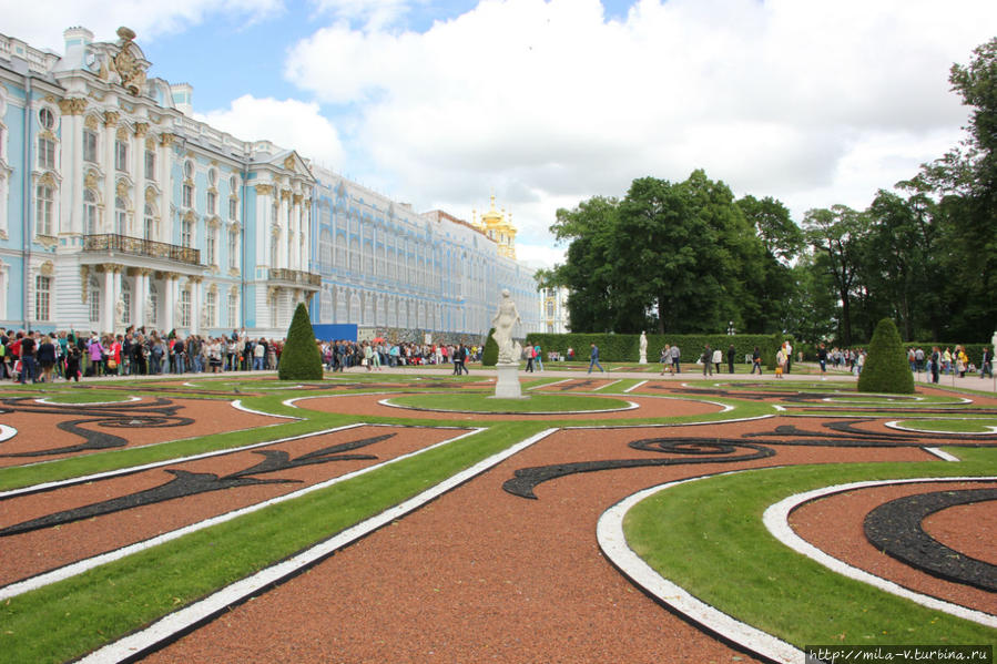 Фото северной пальмиры