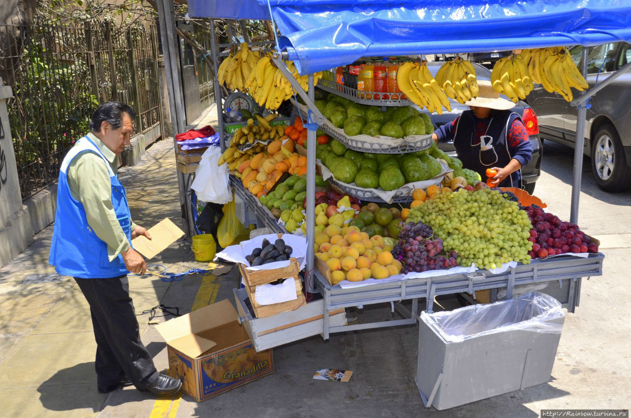 Красавица Лима Лима, Перу