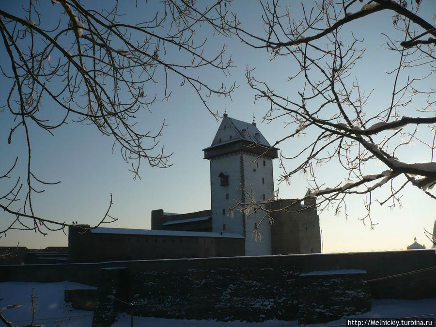 Прогулка по Нарве в зимний солнечный день Нарва, Эстония