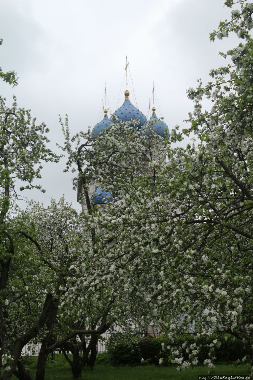 Пока не кончилась весна Москва, Россия