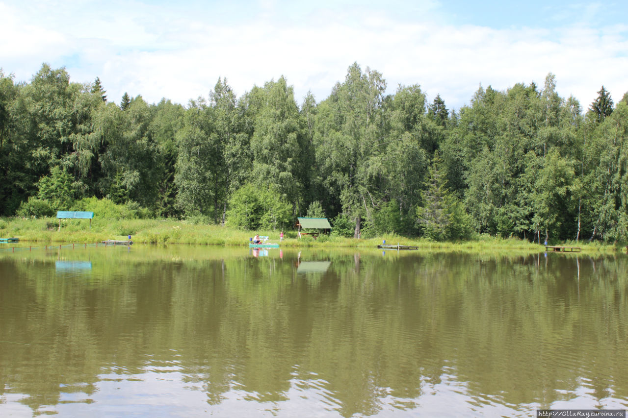 Платная рыбалка в Хомяково Сергиев Посад, Россия