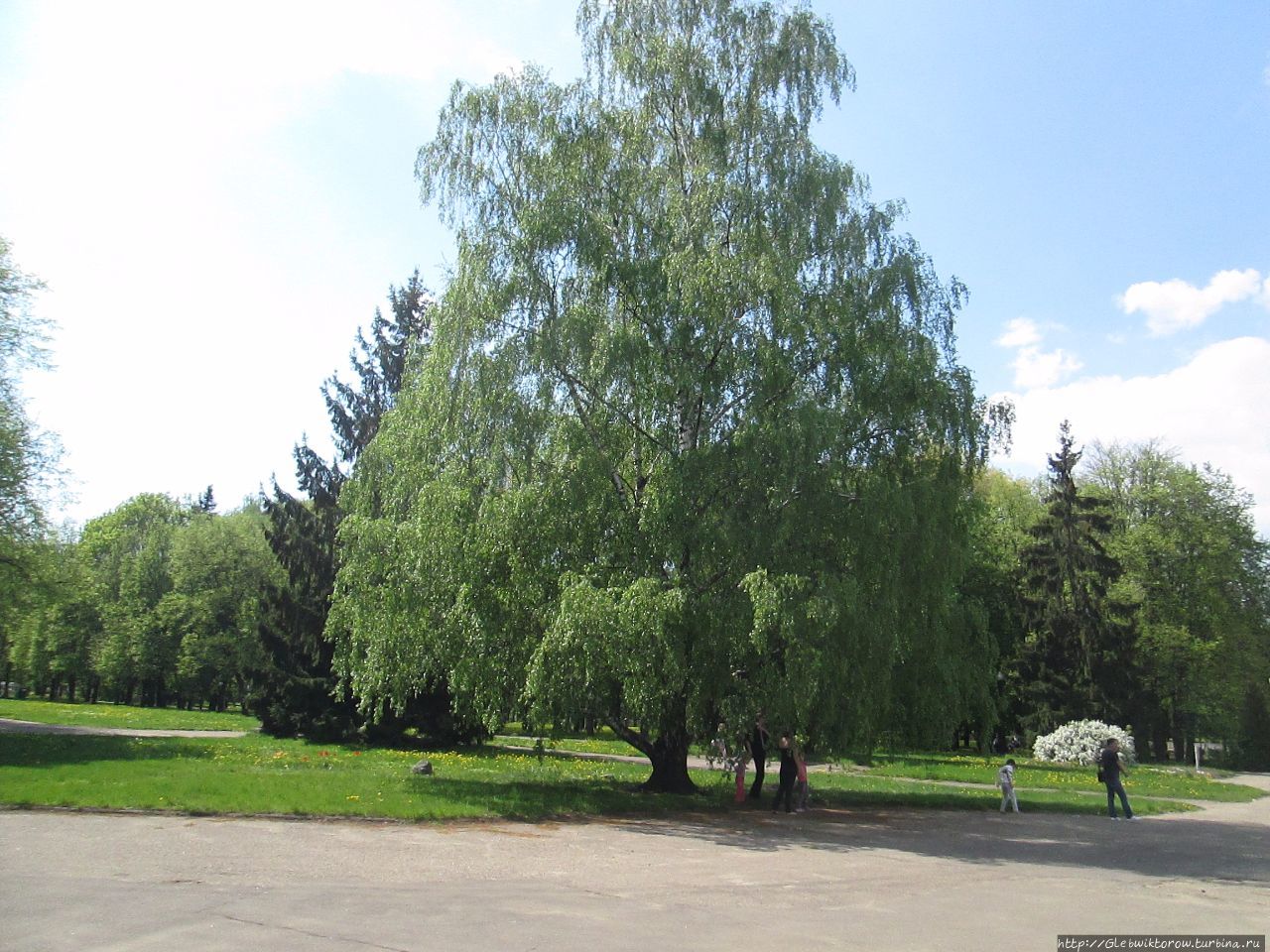 Парк имени Янки Купалы Минск, Беларусь