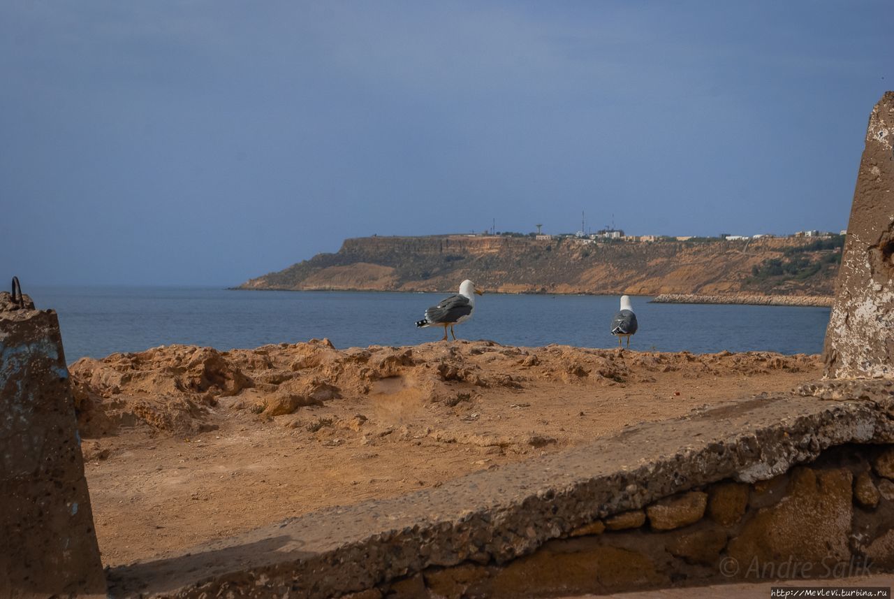 В полдень у океана Сафи, Марокко