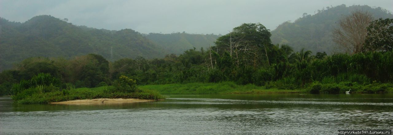 Паломино. Там, где река впадает в море Сьерра-Невада-де-Санта-Марта Национальный Парк, Колумбия