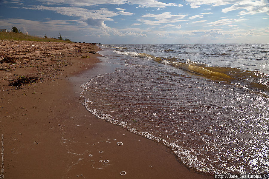 Берег Чудского озера, село Ветвеник Псковская область, Россия