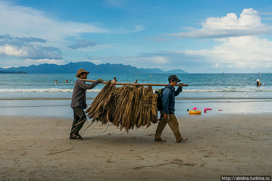 Рабочие обновляют соломенные крыши зонтиков на пляже Нячанг, Вьетнам