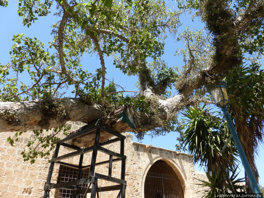 Монастырь Айя-Напа Айя-Напа, Кипр