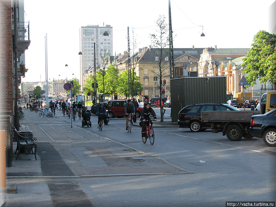 Животные в зоопарке Копенгагина. И не много утренего города Копенгаген, Дания