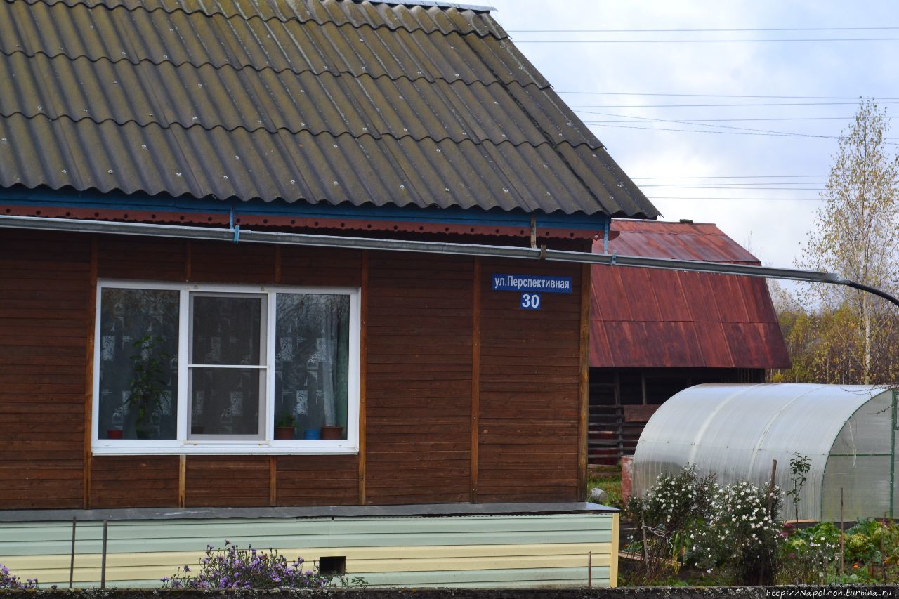 главная улица поселка наз