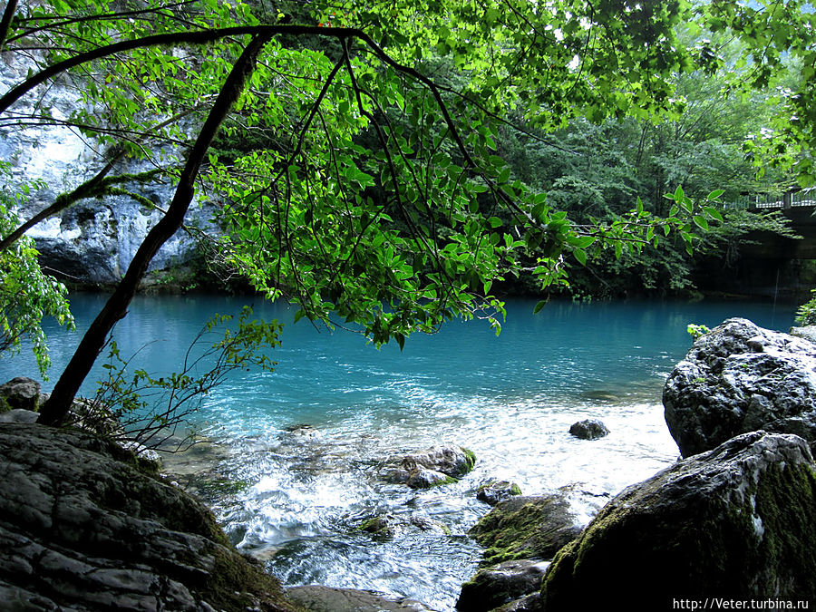 Средняя температура воды в озере плюс 7 градусов и только в самые жаркие дни поднимается до плюс 10. Озеро  не замерзает круглый год, но рыба здесь не водится. Питается Голубое озеро водами подземной реки. Рица Реликтовый Национальный Парк, Абхазия