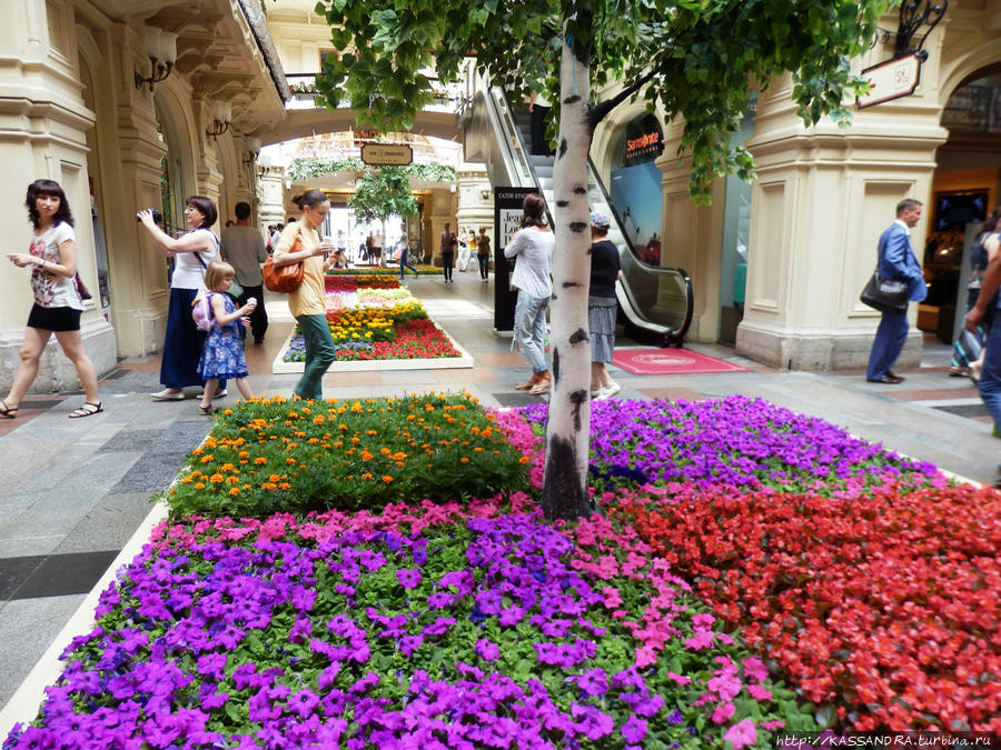 Цветущие сады ГУМа Москва, Россия