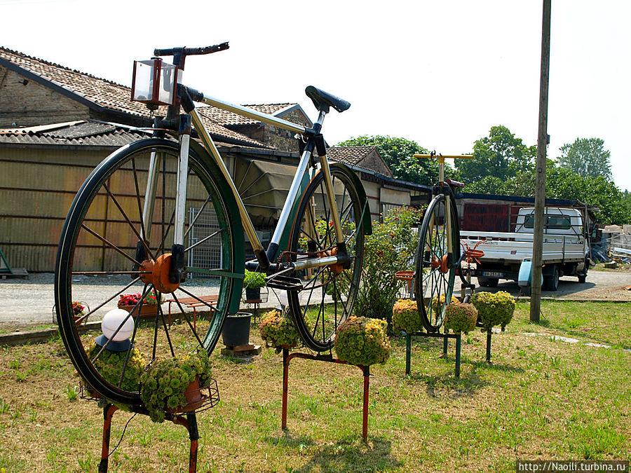 Велоклумбы