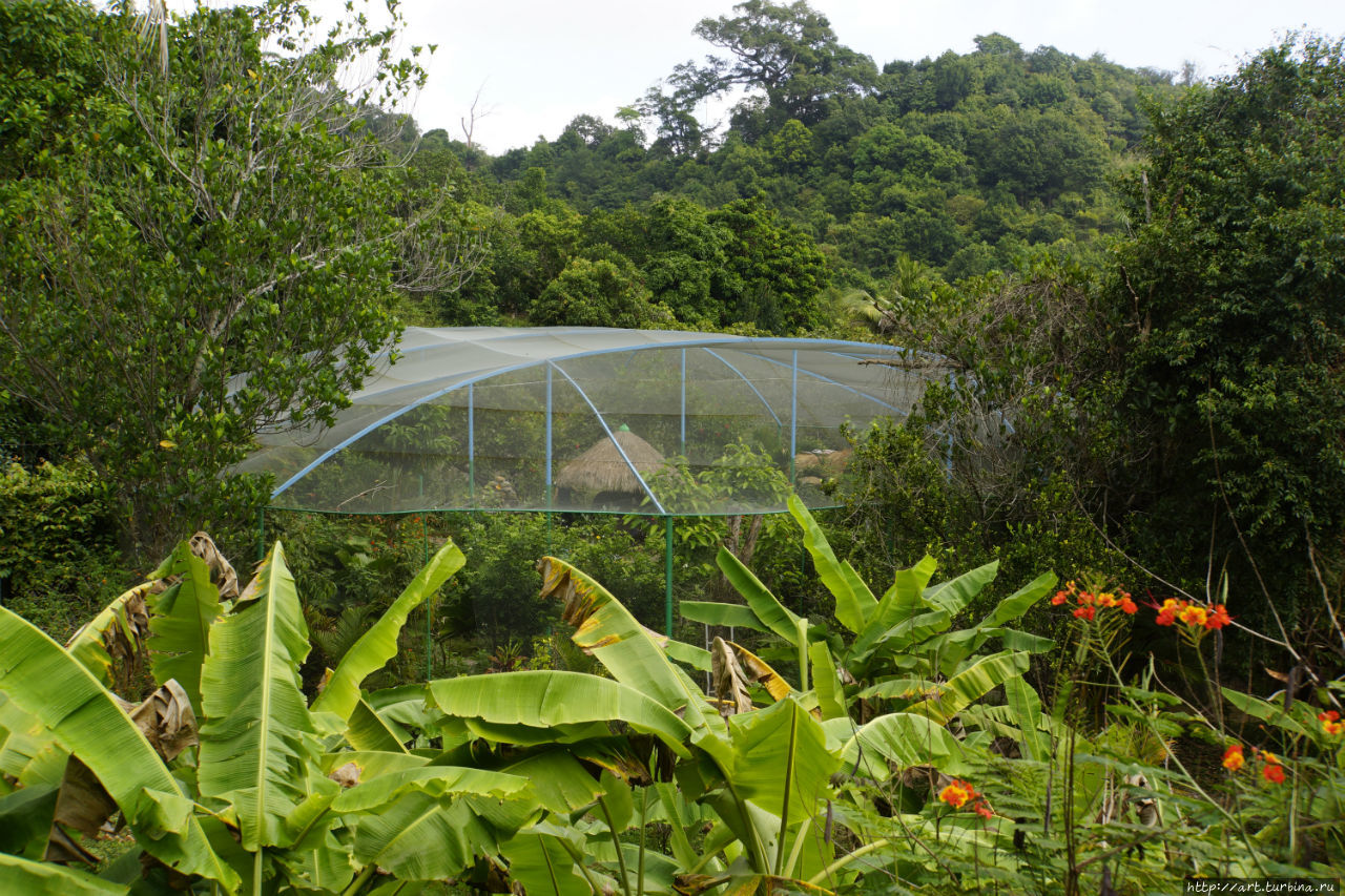А это — еще одна, правда не столь широко известная, достопримечательность Кепа. 
На территории нацпарка, в джунглях приютился сад бабочек. Каеп, Камбоджа