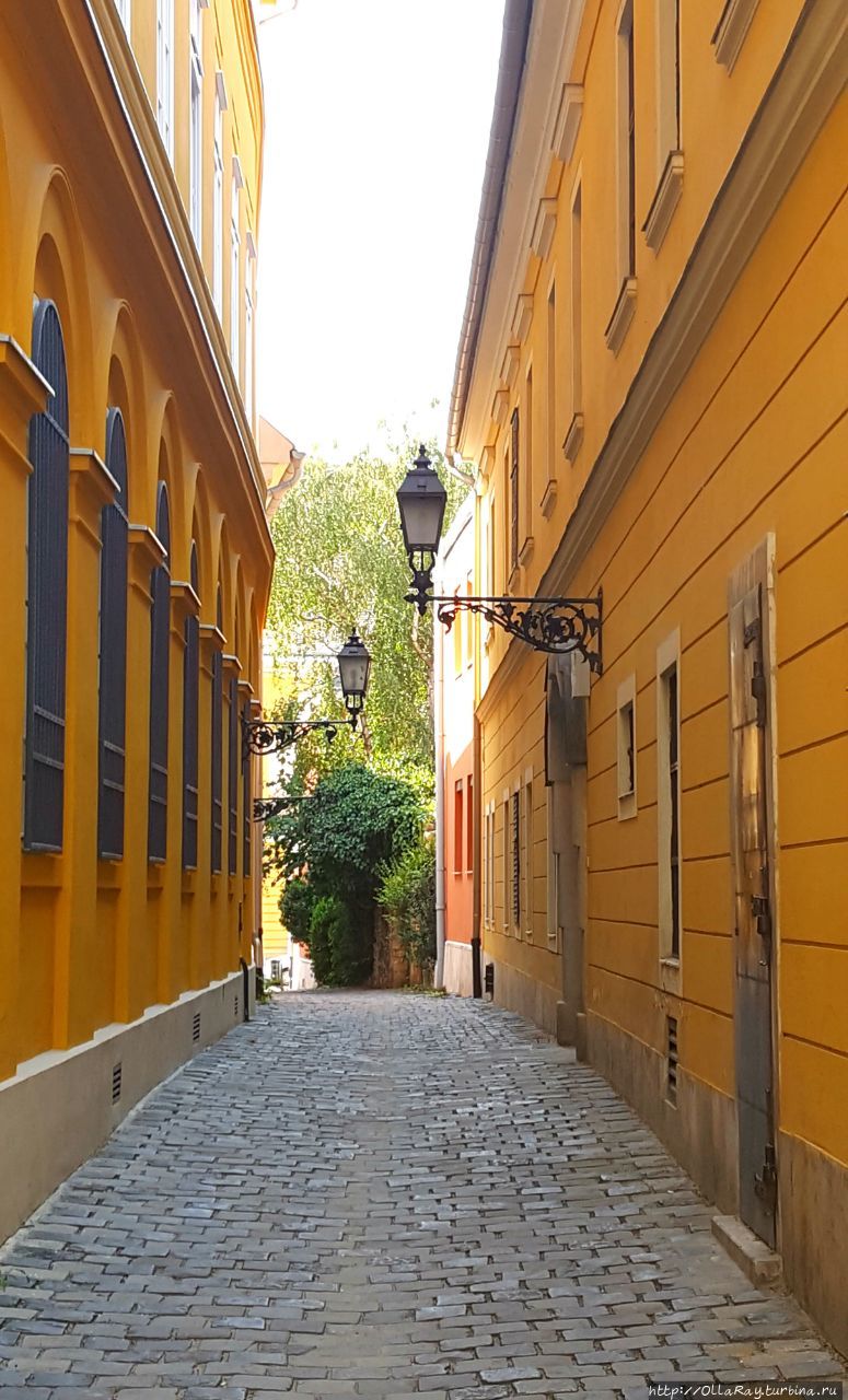 И вот снова они — узкие улочки старого города. Недостаток растительности компенсируют яркими цветами. Будапешт, Венгрия