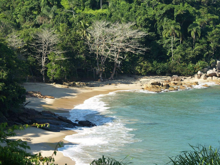 Пляж Кедра Убатуба, Бразилия