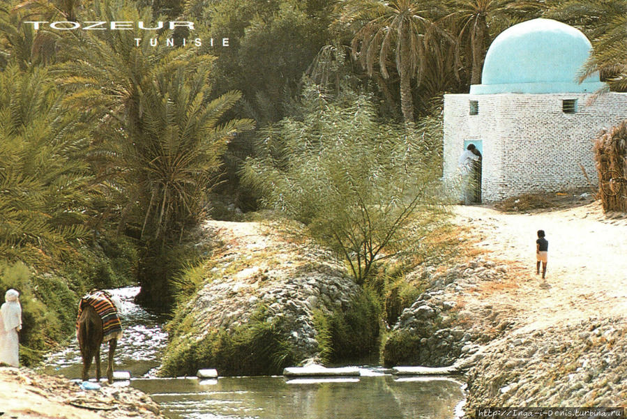 Тозёр — город-оазис, где существует восточный диснейленд — парк арабских сказок 10001 ночь (открытка) Сусс, Тунис