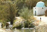 Тозёр — город-оазис, где существует восточный диснейленд — парк арабских сказок 10001 ночь (открытка)