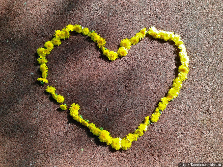 Цветочное Сердце Жироны (Праздник Цветов 2013)