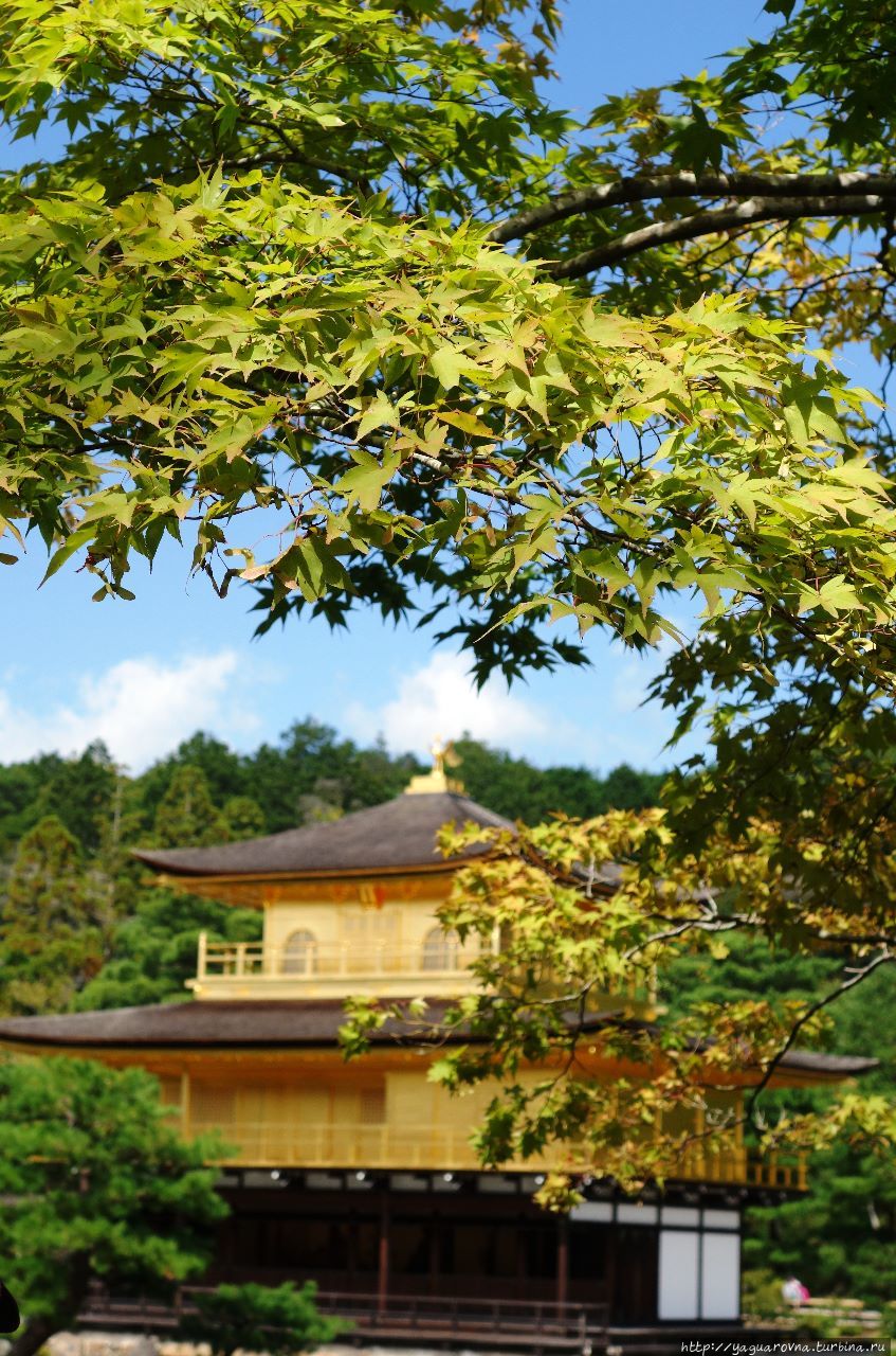 Кинкаку-дзи (Рокуон-дзи, Золотой павильон) Киото, Япония