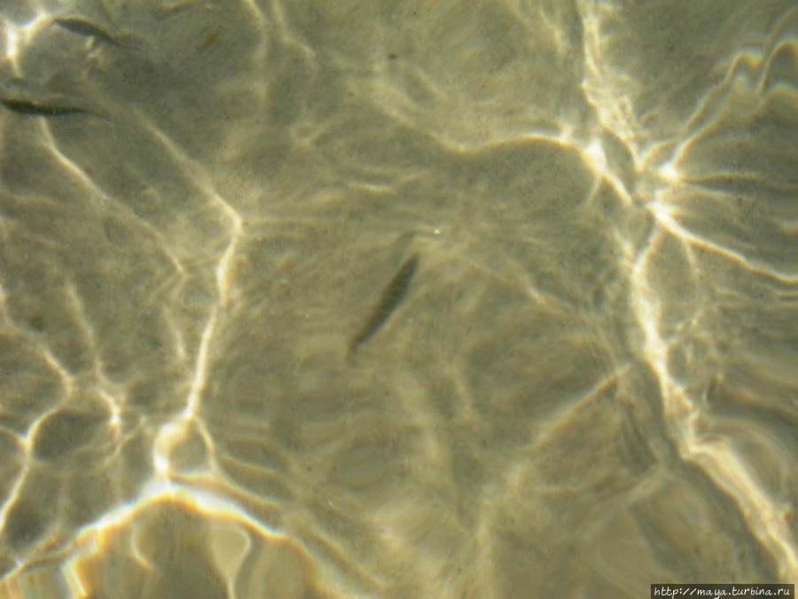 72 часа без войны