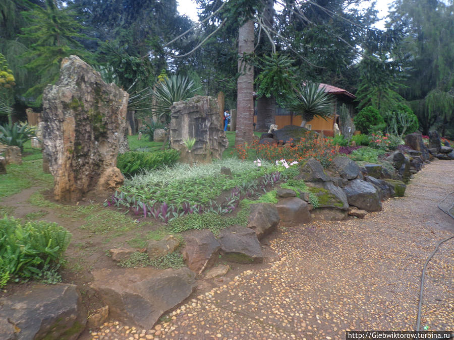 Осмотр Ботанического сада: середина Пьин-У-Львин, Мьянма