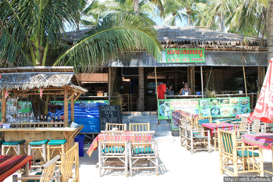 Бамбук / Bamboo